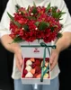 Jingle Bells Box - Size S